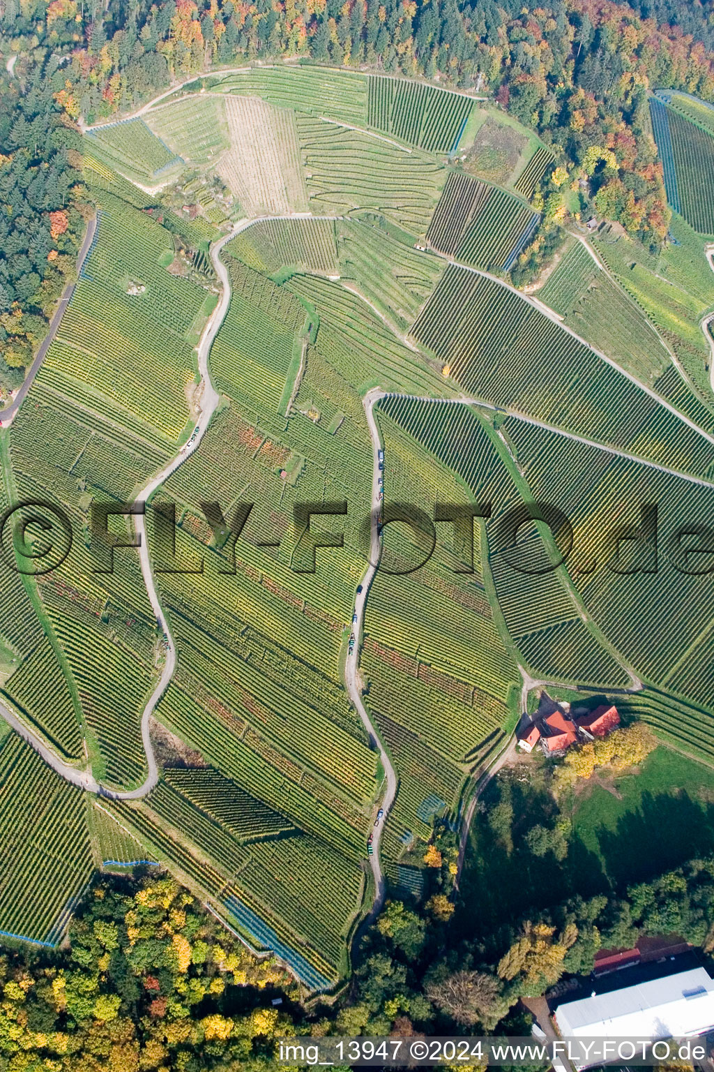 Vue aérienne de Paysage viticole des terroirs viticoles à Achern dans le département Bade-Wurtemberg, Allemagne