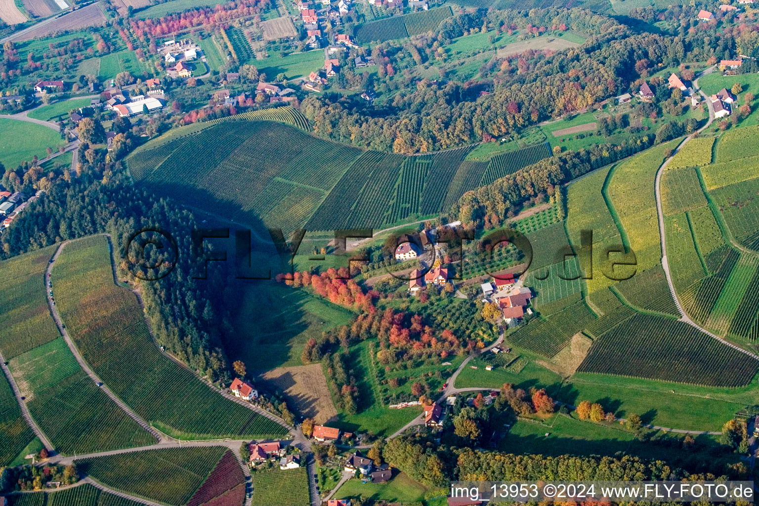 Vue aérienne de Quartier Hornenberg in Lauf dans le département Bade-Wurtemberg, Allemagne