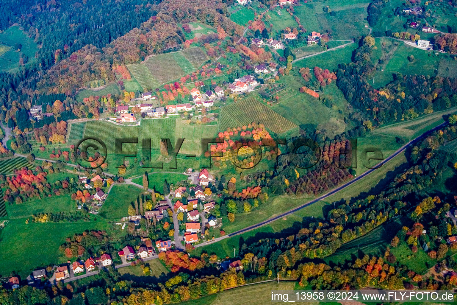 Vue aérienne de Laufbachstr. à le quartier Lochwald in Lauf dans le département Bade-Wurtemberg, Allemagne