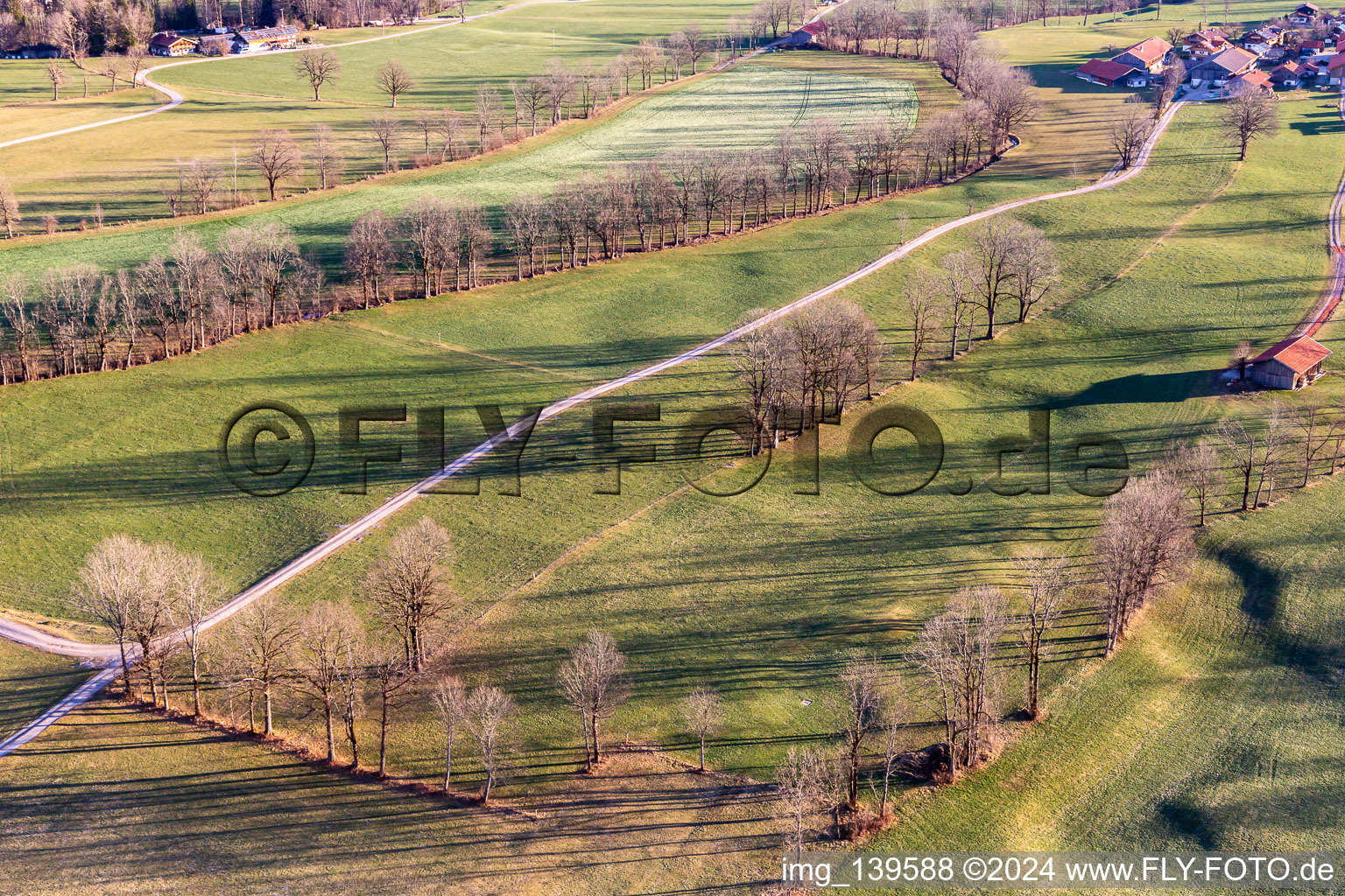 Vue aérienne de Les vergers en hiver à le quartier Arzbach in Wackersberg dans le département Bavière, Allemagne