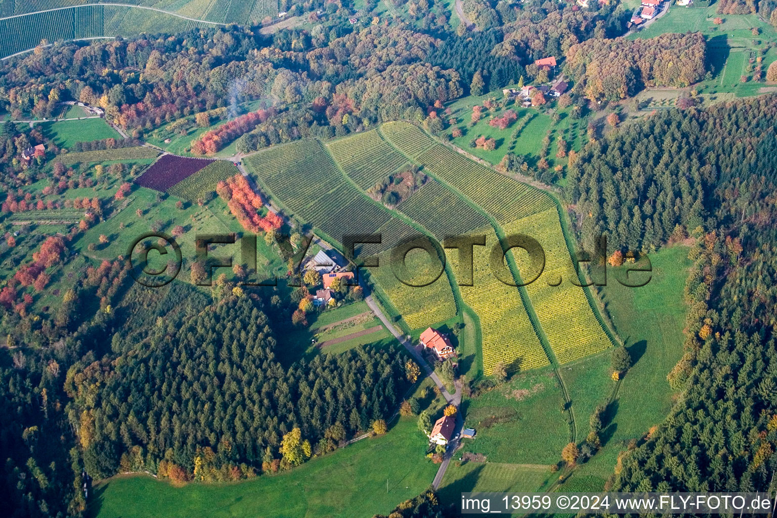 Vue aérienne de Lochwald à le quartier Matzenhöfe in Lauf dans le département Bade-Wurtemberg, Allemagne