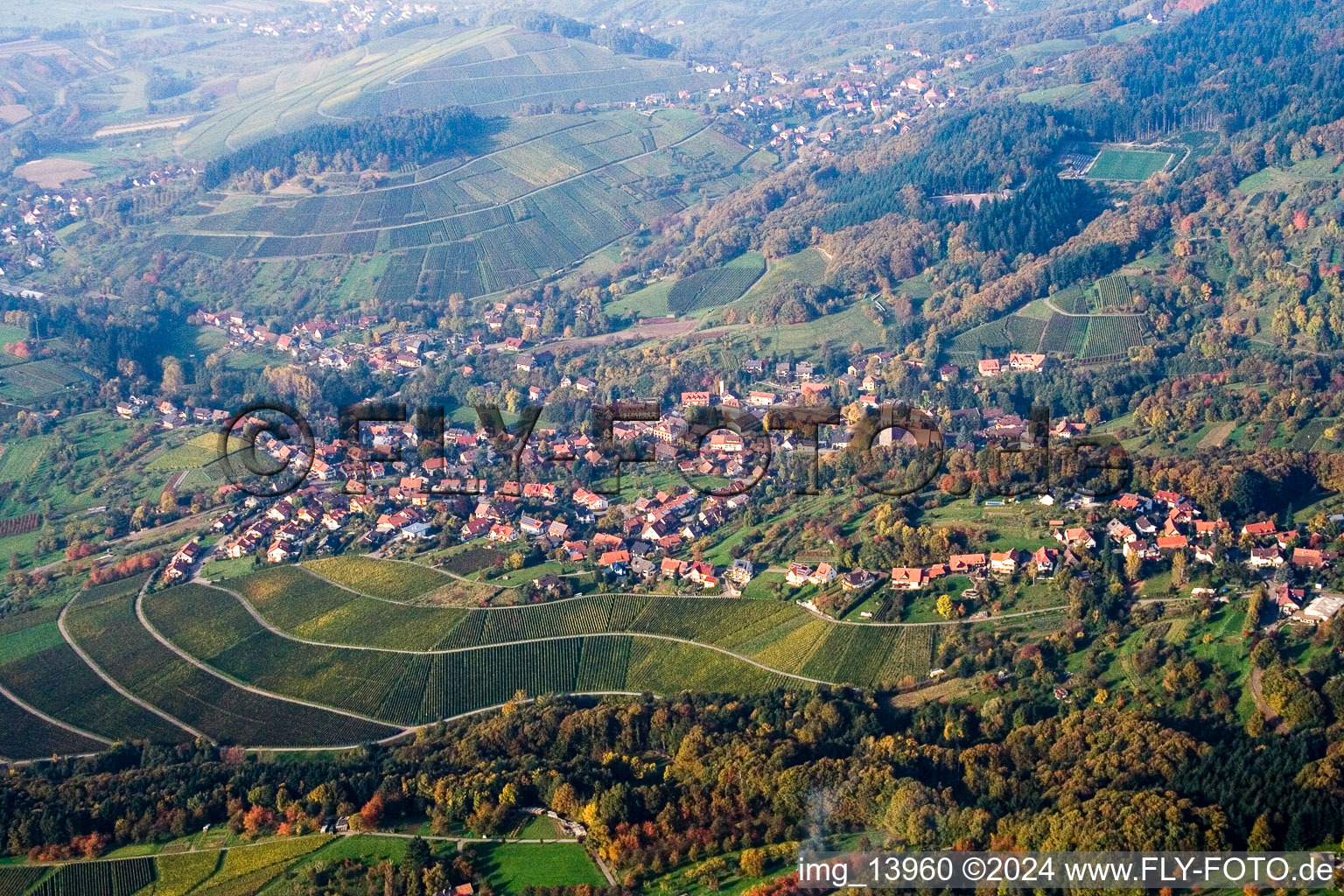 Vue aérienne de Vignobles à le quartier Neusatz in Bühl dans le département Bade-Wurtemberg, Allemagne