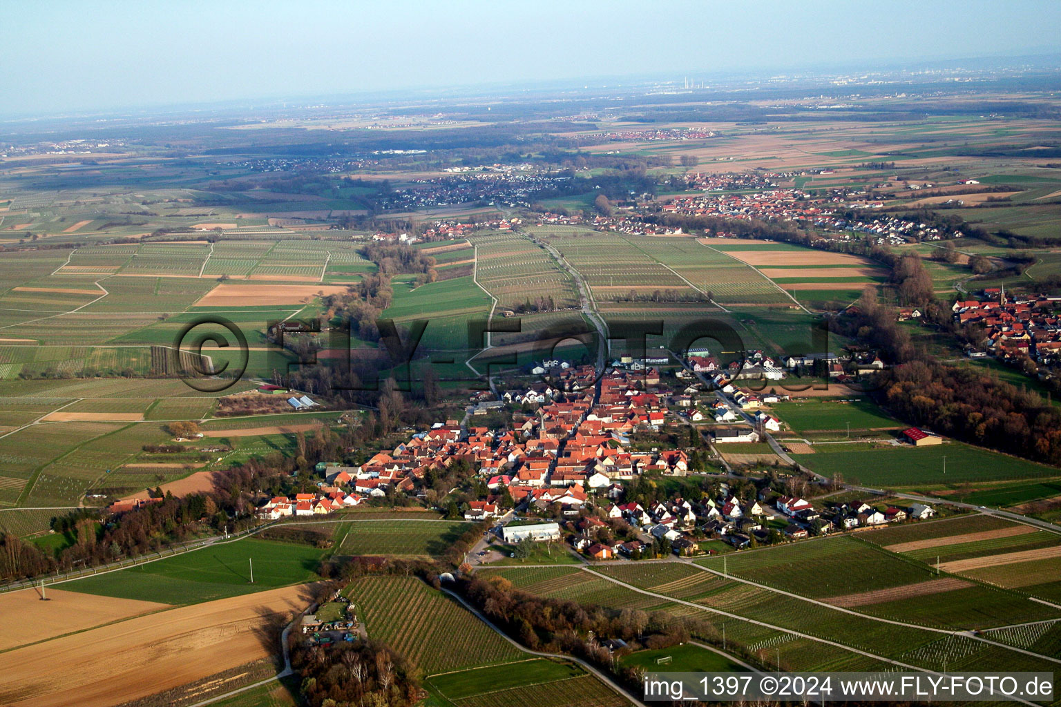 Vue aérienne de Son à Göcklingen dans le département Rhénanie-Palatinat, Allemagne