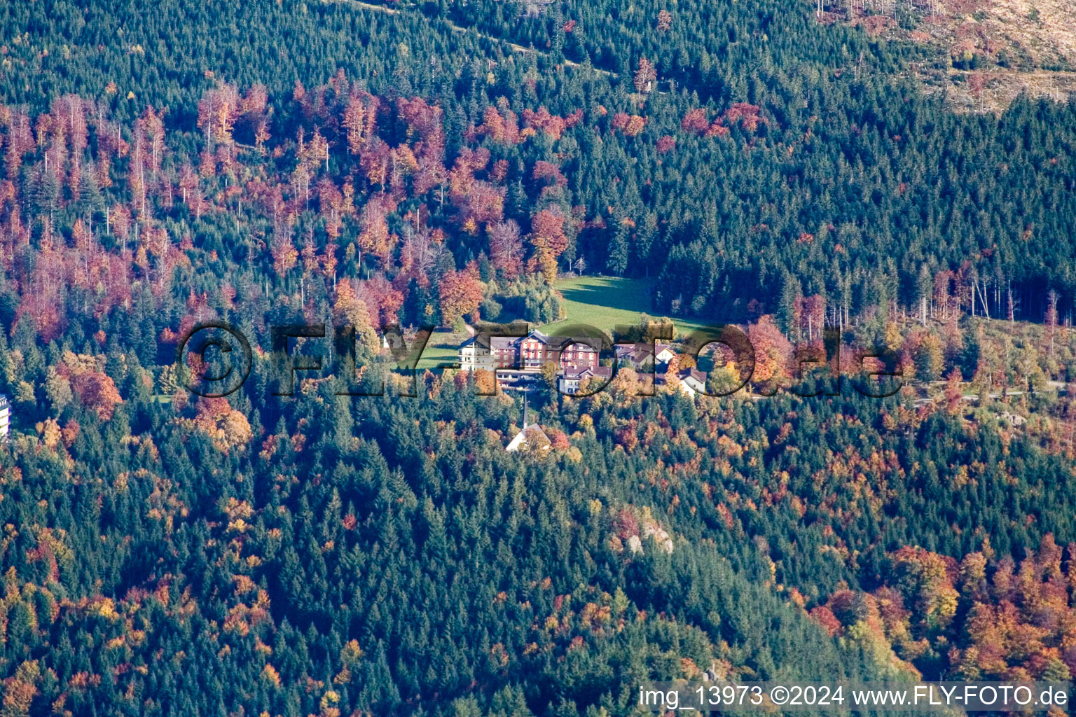 Vue aérienne de Hauteur de Bühler à Bühlertal dans le département Bade-Wurtemberg, Allemagne