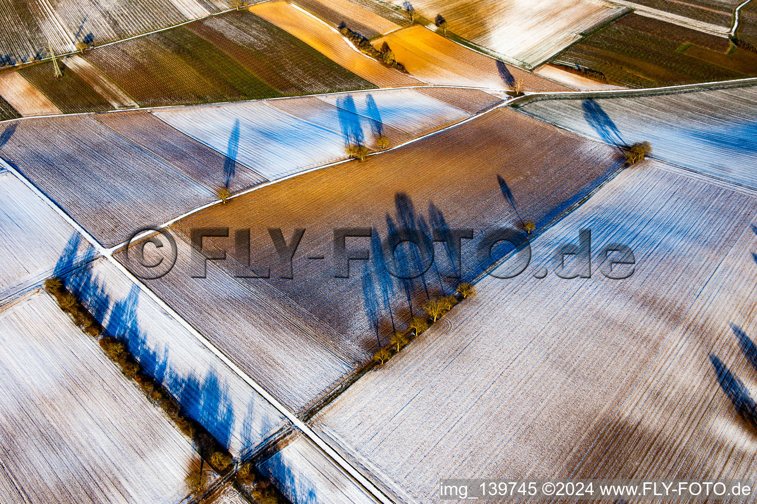 Vue aérienne de Structures de terrain et ombres en hiver lorsqu'il y a de la neige à Vollmersweiler dans le département Rhénanie-Palatinat, Allemagne