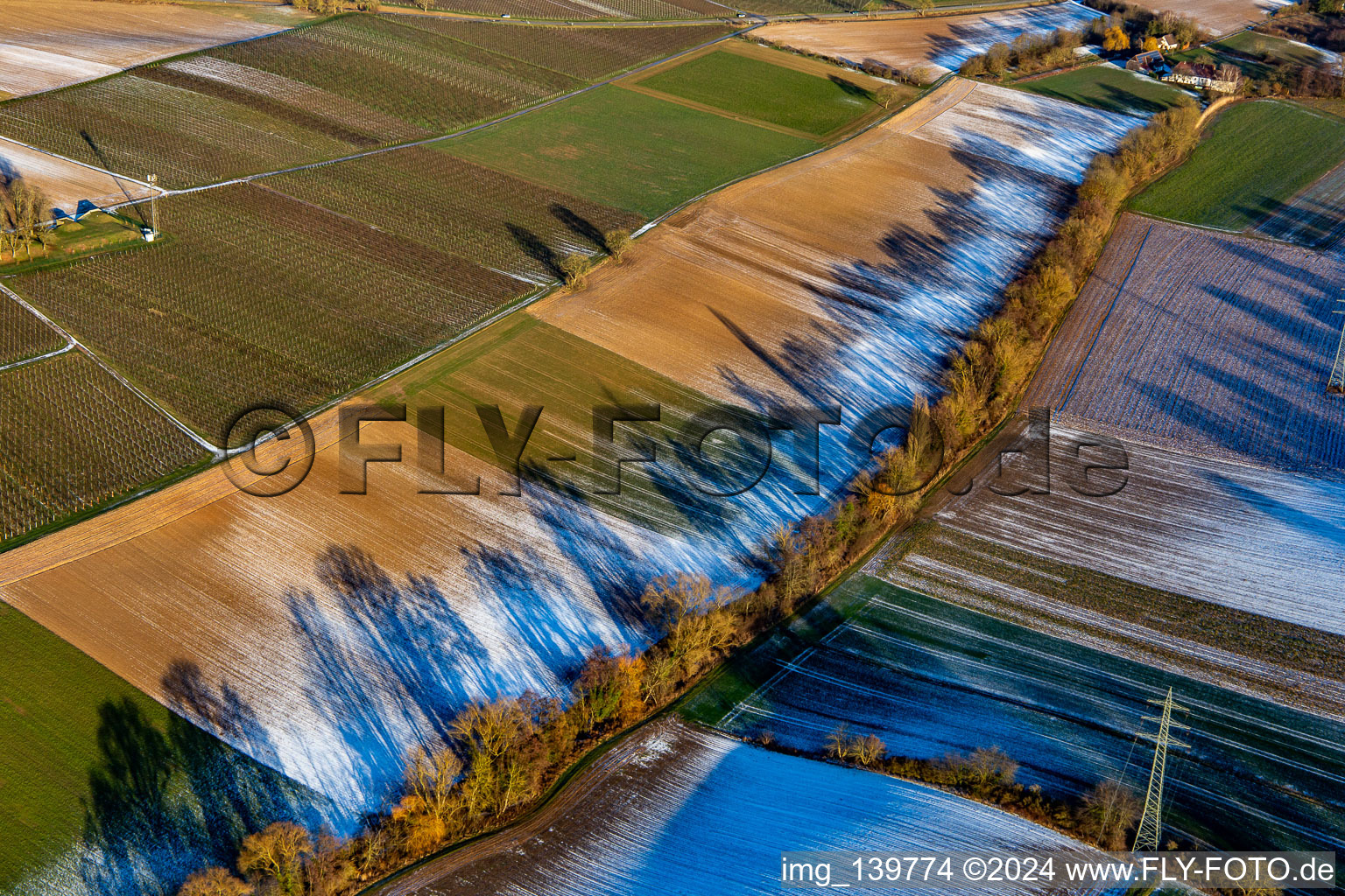 Vue aérienne de Structures de terrain et ombres en hiver avec de la neige à Dierbachtal à Minfeld dans le département Rhénanie-Palatinat, Allemagne