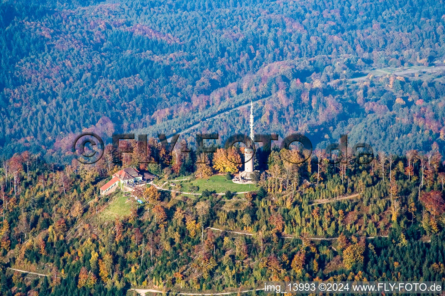 Vue aérienne de Structure de la tour d'observation Merkurturm à le quartier Ebersteinburg in Baden-Baden dans le département Bade-Wurtemberg, Allemagne