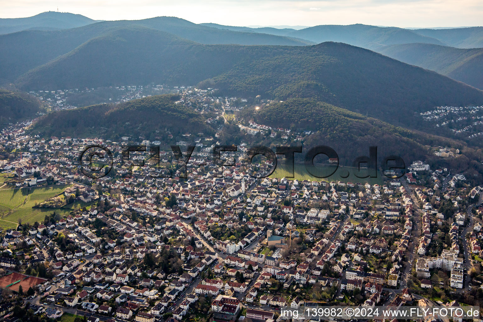 Photographie aérienne de Neustadt an der Weinstraße dans le département Rhénanie-Palatinat, Allemagne