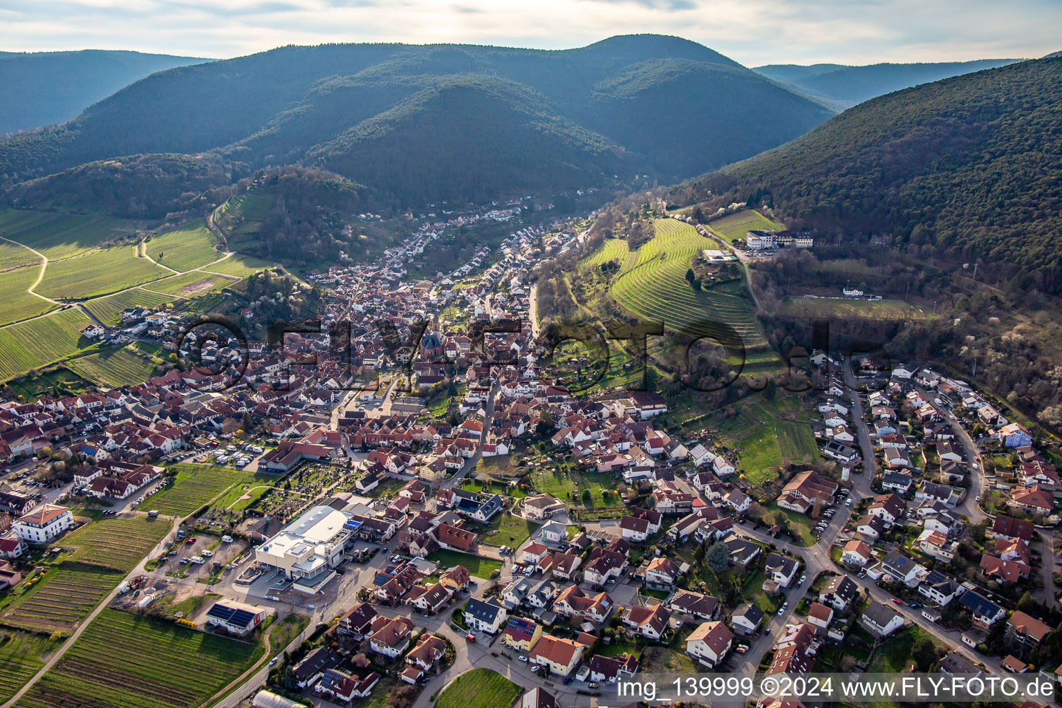 Vue aérienne de Du nord-est à Sankt Martin dans le département Rhénanie-Palatinat, Allemagne