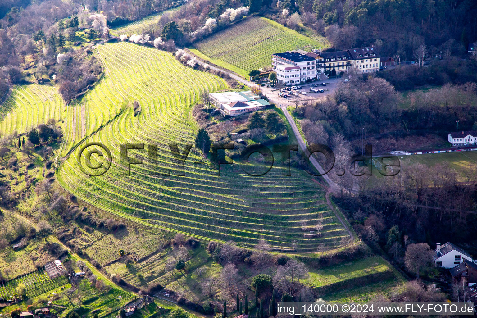 Vue aérienne de Hôtel Arens à 327m d'altitude à le quartier SaintMartin in Sankt Martin dans le département Rhénanie-Palatinat, Allemagne