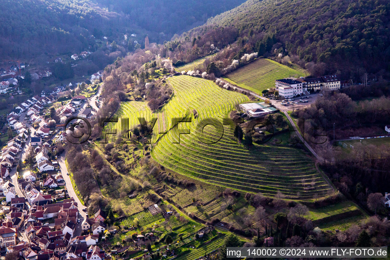 Vue aérienne de Hôtel Arens à 327m d'altitude à le quartier SaintMartin in Sankt Martin dans le département Rhénanie-Palatinat, Allemagne