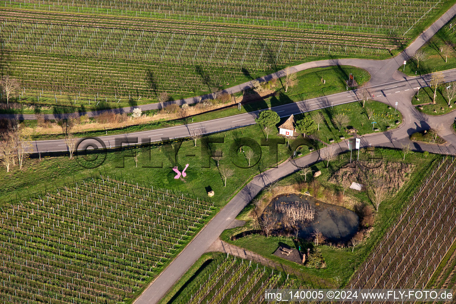 Vue aérienne de Maison de sculpture au printemps à le quartier SaintMartin in Sankt Martin dans le département Rhénanie-Palatinat, Allemagne