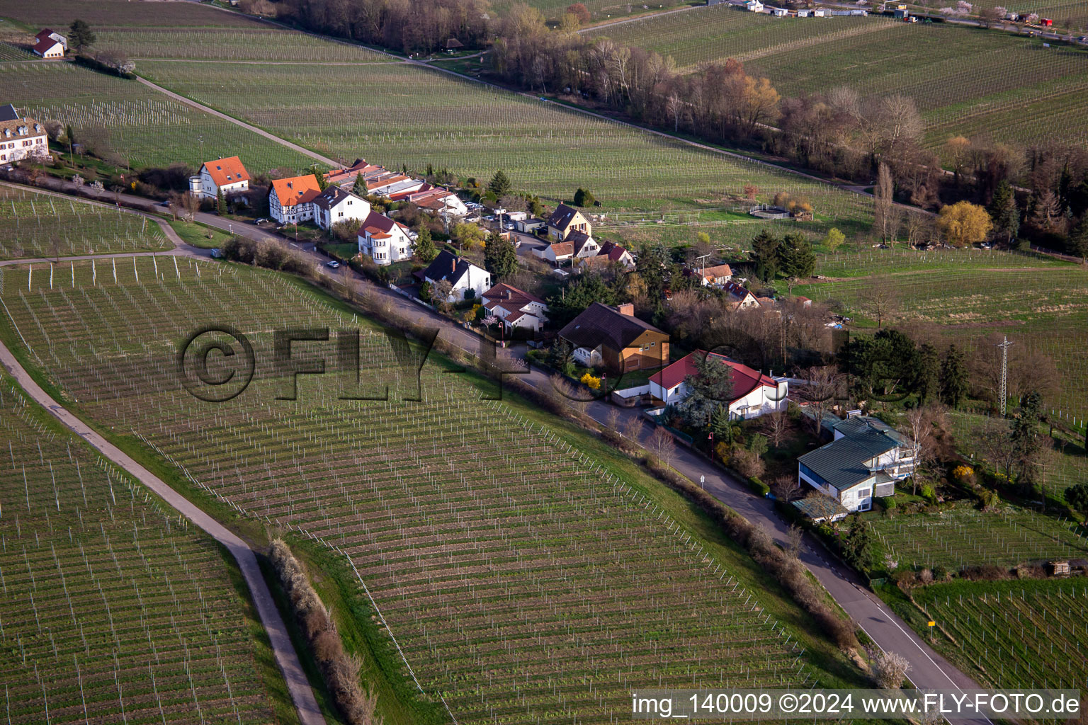 Vue aérienne de Règlement sur Klosterstr à Edenkoben dans le département Rhénanie-Palatinat, Allemagne