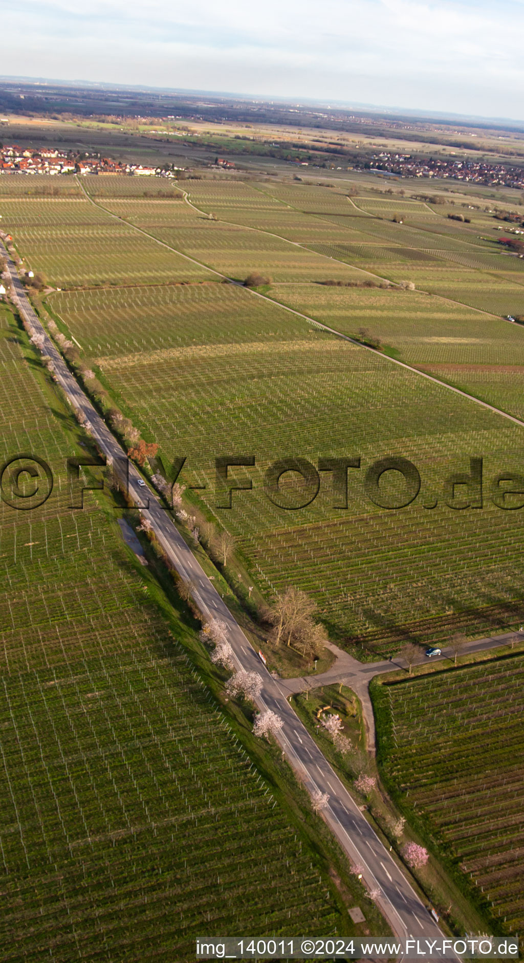 Vue aérienne de Mile des Amandes et route des vins sur Villastr à Edenkoben dans le département Rhénanie-Palatinat, Allemagne