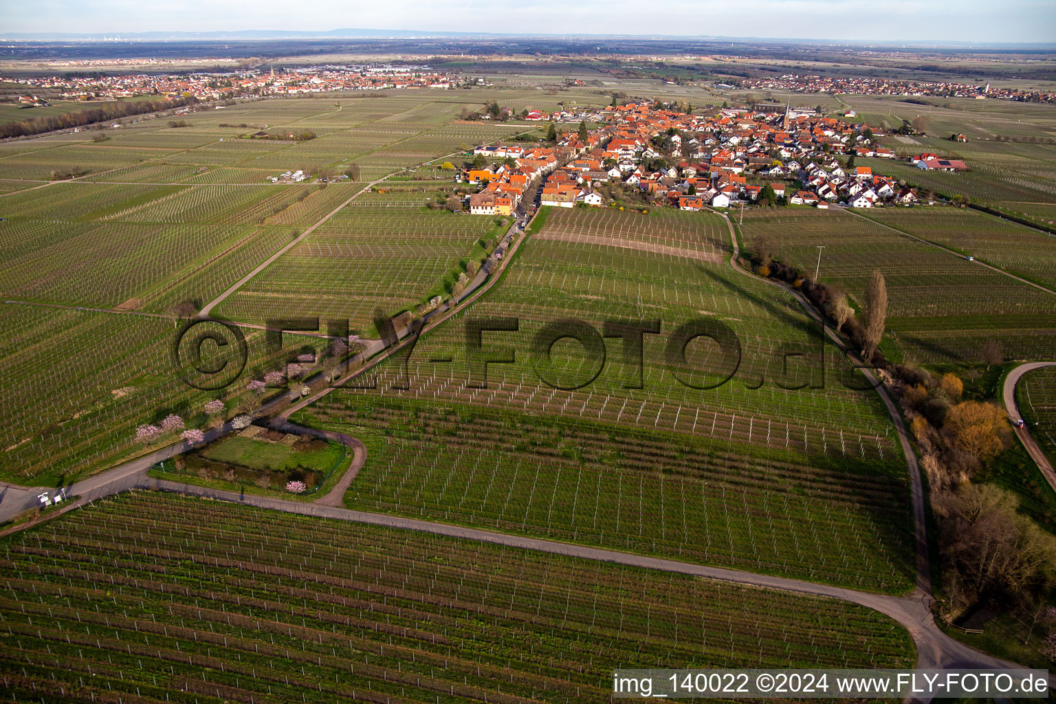 Vue aérienne de De l'ouest à le quartier Rhodt in Rhodt unter Rietburg dans le département Rhénanie-Palatinat, Allemagne