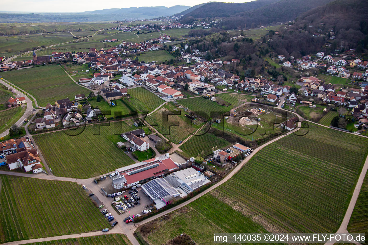 Vue aérienne de Du nord-est à Burrweiler dans le département Rhénanie-Palatinat, Allemagne