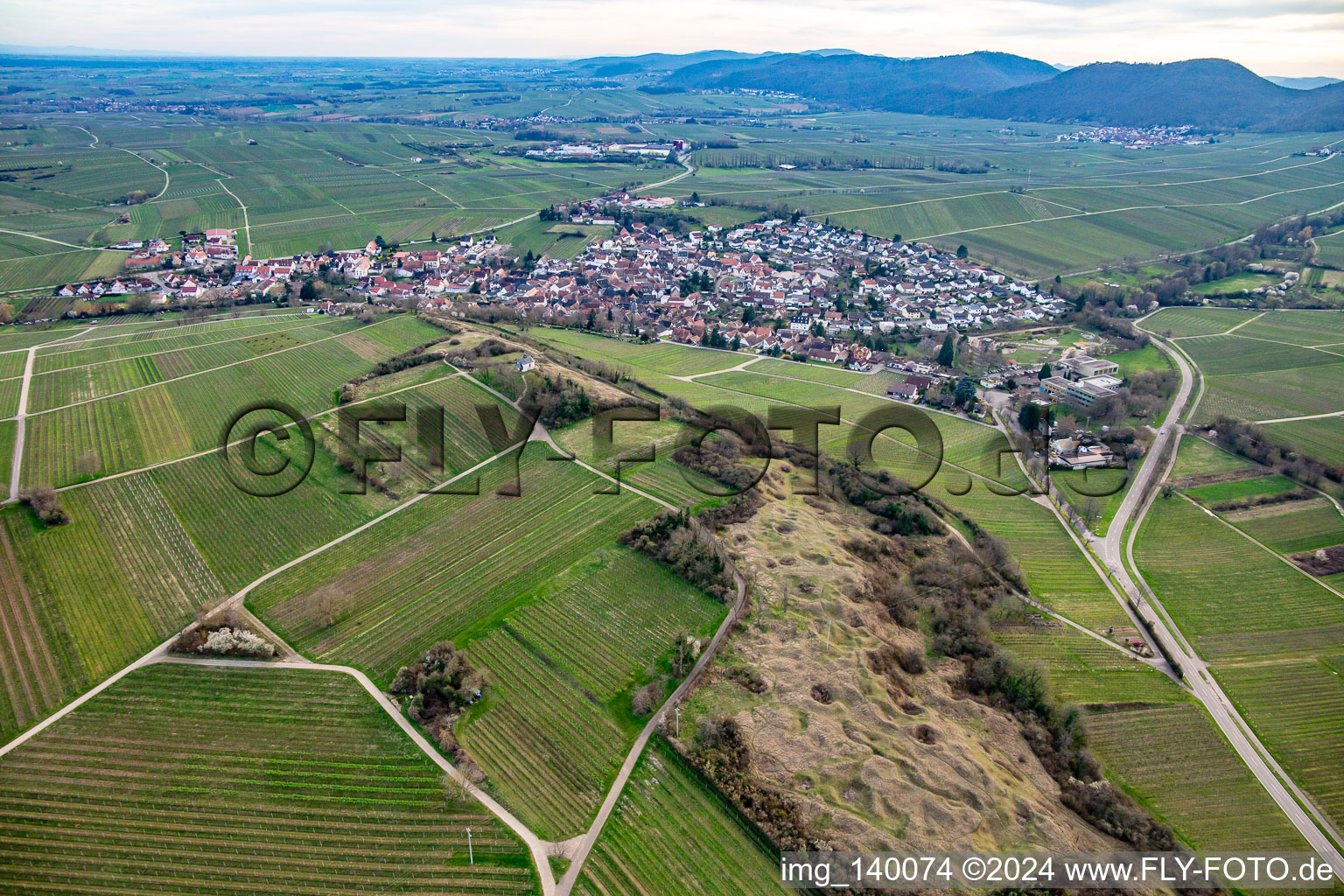 Vue aérienne de Réserve naturelle de Kleine Kalmit au printemps à le quartier Arzheim in Landau in der Pfalz dans le département Rhénanie-Palatinat, Allemagne