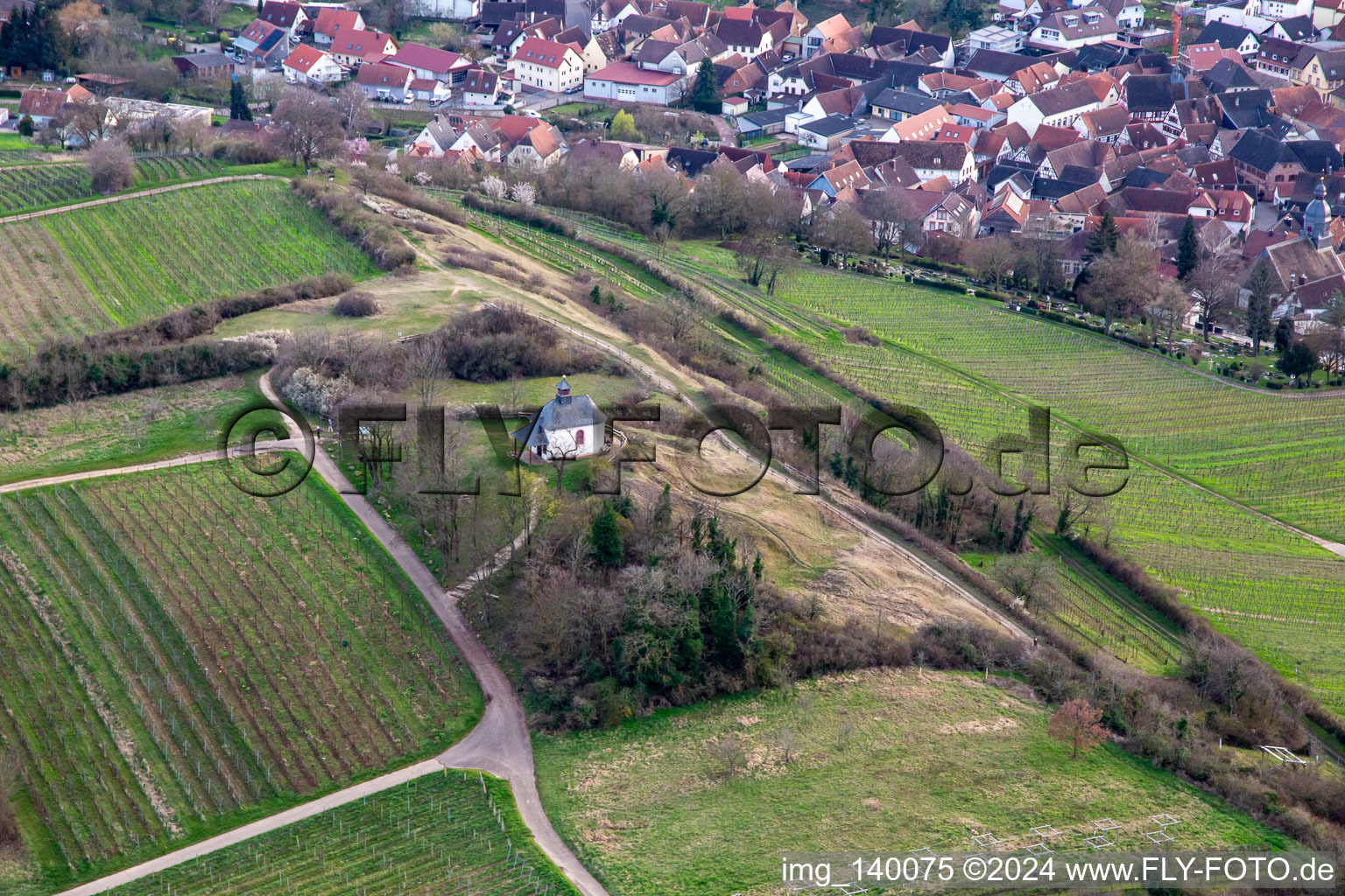 Vue aérienne de Réserve naturelle de Kleine Kalmit au printemps à le quartier Arzheim in Landau in der Pfalz dans le département Rhénanie-Palatinat, Allemagne
