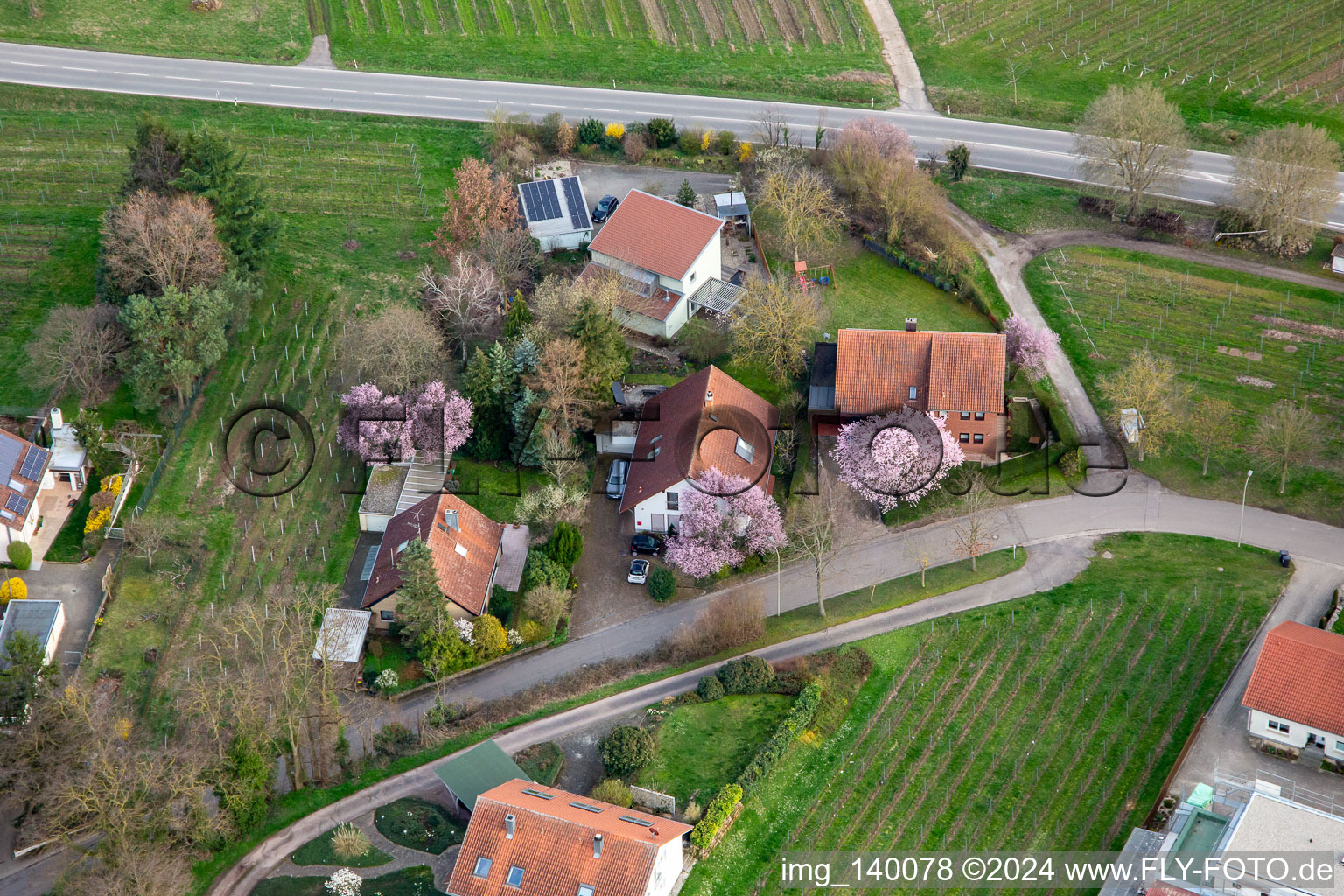 Vue aérienne de 4 immeubles résidentiels avec des arbres à fleurs roses à Oberdorfstr à Ilbesheim bei Landau in der Pfalz dans le département Rhénanie-Palatinat, Allemagne