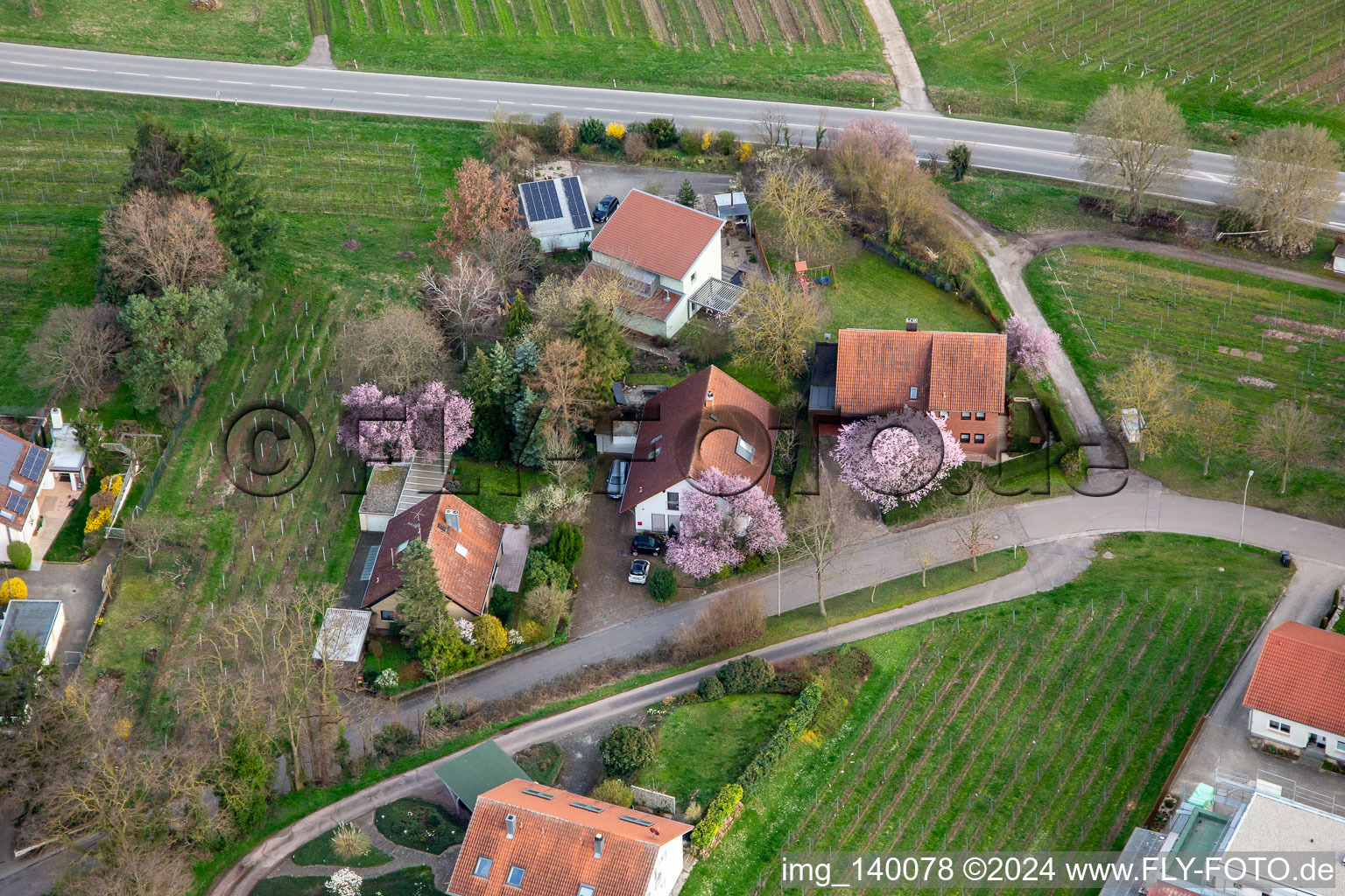 Vue aérienne de 4 immeubles résidentiels avec des arbres à fleurs roses à Oberdorfstr à le quartier Ilbesheim in Ilbesheim bei Landau in der Pfalz dans le département Rhénanie-Palatinat, Allemagne