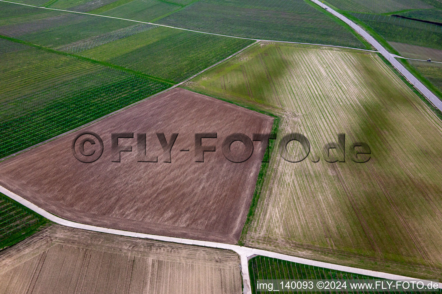 Vue aérienne de Structures agricoles à le quartier Ingenheim in Billigheim-Ingenheim dans le département Rhénanie-Palatinat, Allemagne