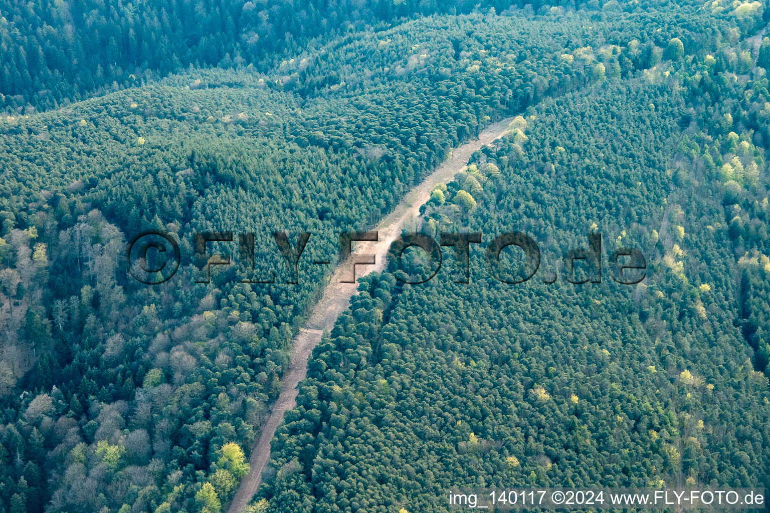 Vue aérienne de Un chemin à travers la forêt du Palatinat pour reconstruire le tronçon de 51 km du gazoduc transeuropéen (TENP-III des Pays-Bas à la Suisse) entre Mittelbrunn et Klingenmünster à Klingenmünster dans le département Rhénanie-Palatinat, Allemagne