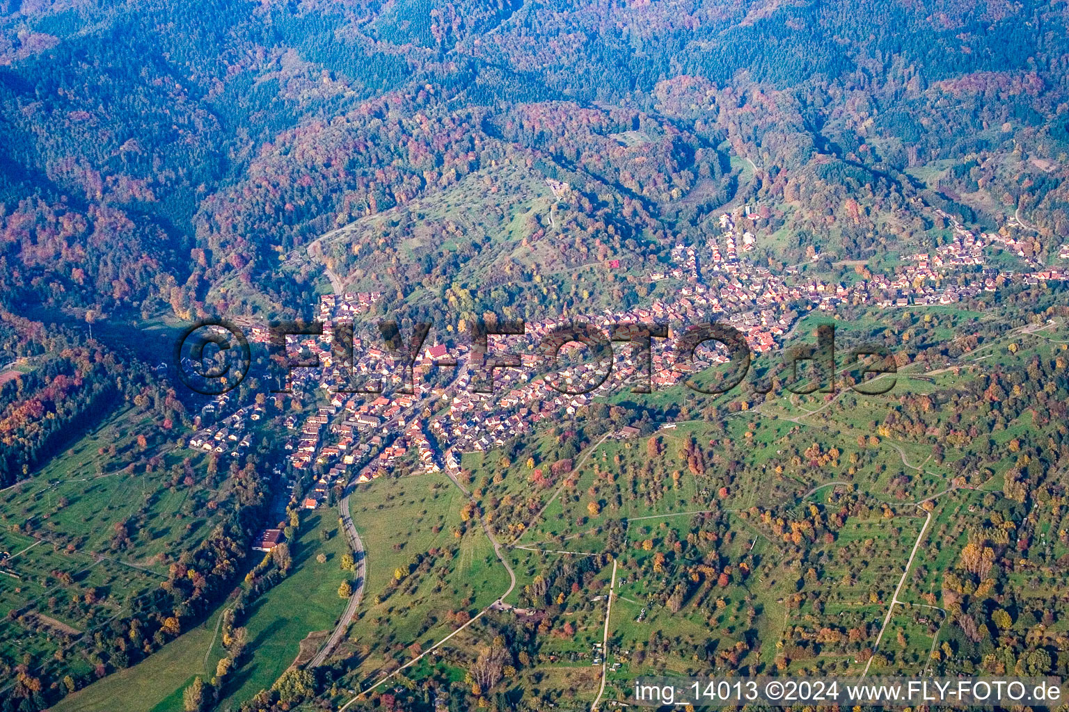 Vue aérienne de Champs agricoles avec arbres fruitiers dans les feuilles d'automne à le quartier Michelbach in Gaggenau dans le département Bade-Wurtemberg, Allemagne