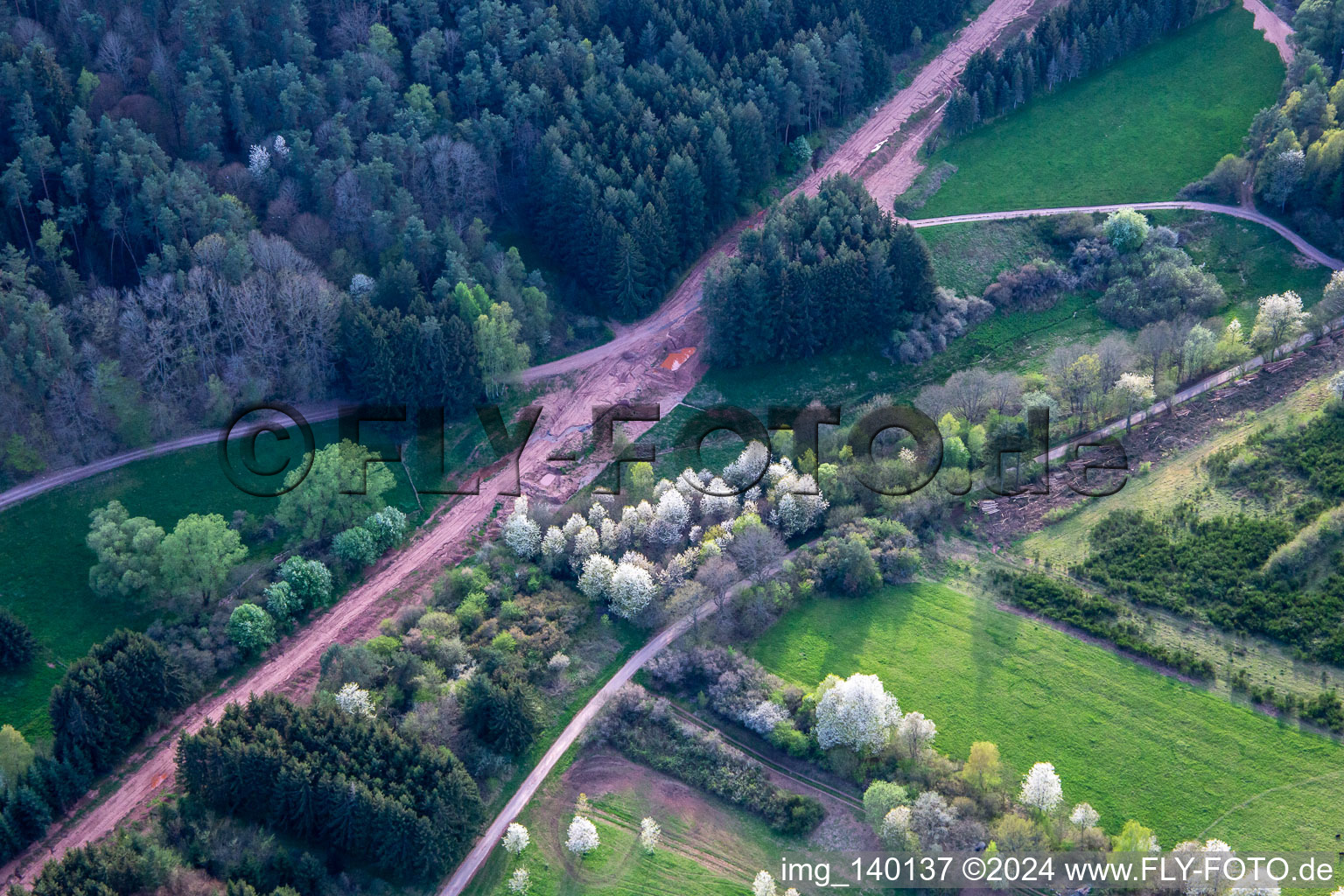 Vue aérienne de Chemin à travers la forêt du Palatinat pour reconstruire le tronçon de 51 km du gazoduc transeuropéen (TENP-III des Pays-Bas à la Suisse) entre Mittelbrunn et Klingenmünster à Schwanheim dans le département Rhénanie-Palatinat, Allemagne