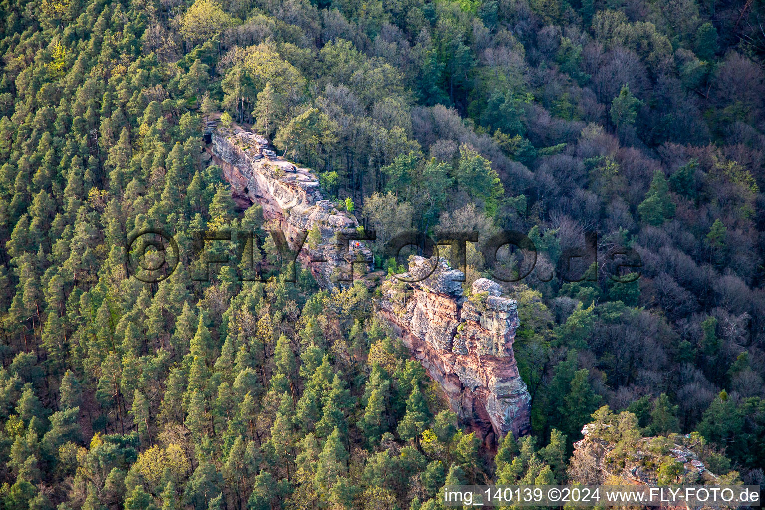 Vue aérienne de Pierres de vautour Luger à Lug dans le département Rhénanie-Palatinat, Allemagne