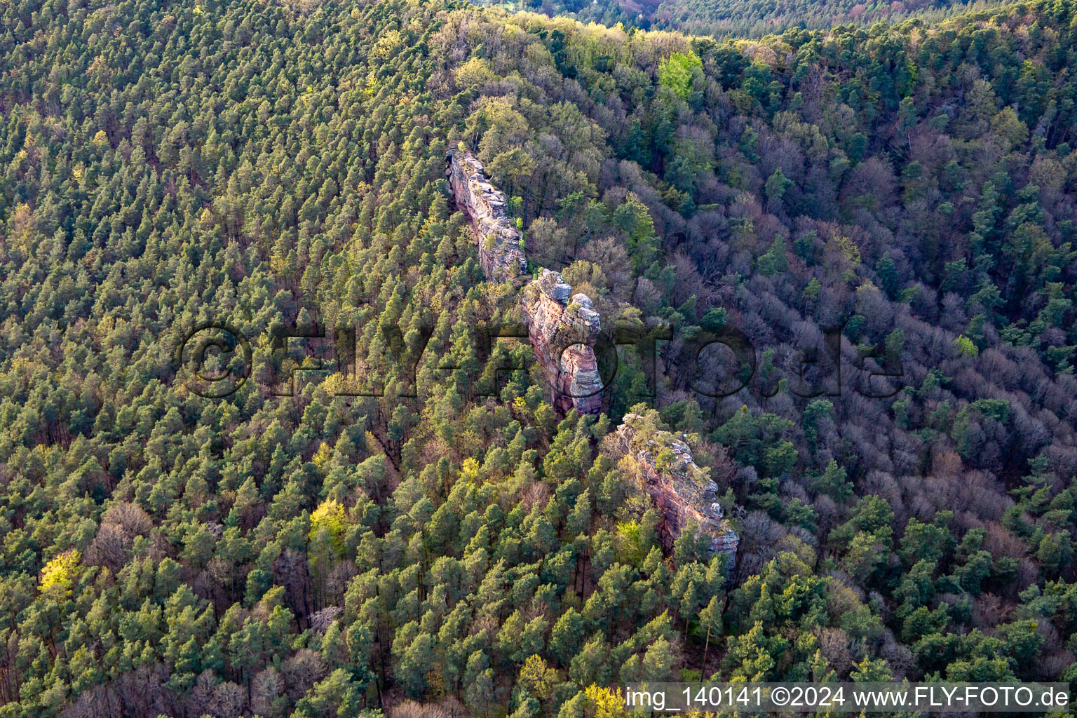 Photographie aérienne de Pierres de vautour Luger à Lug dans le département Rhénanie-Palatinat, Allemagne