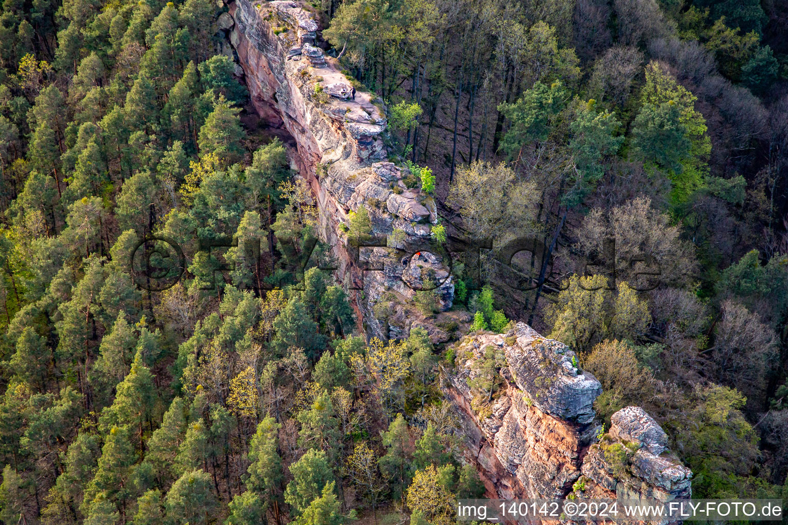 Vue oblique de Pierres de vautour Luger à Lug dans le département Rhénanie-Palatinat, Allemagne