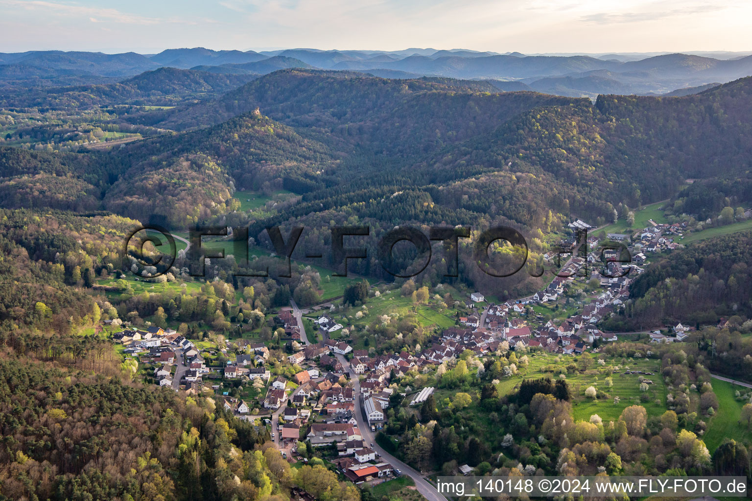 Vue aérienne de Du nord-est à Schwanheim dans le département Rhénanie-Palatinat, Allemagne