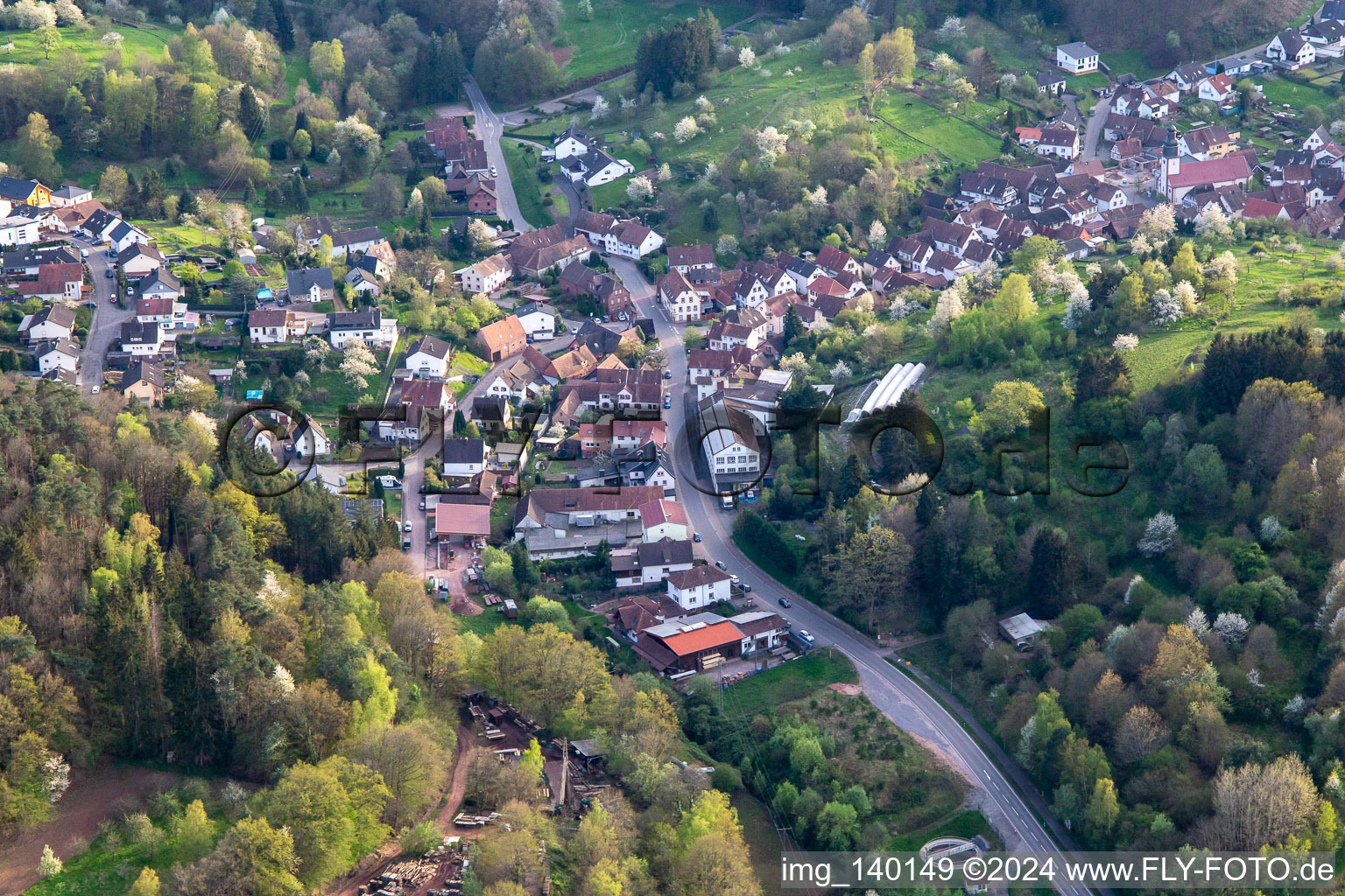 Image drone de Schwanheim dans le département Rhénanie-Palatinat, Allemagne