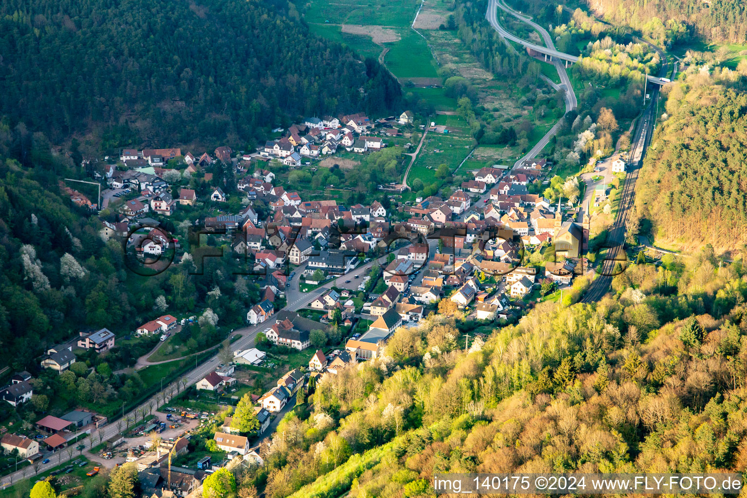 Vue aérienne de Rue Haupt à Wilgartswiesen dans le département Rhénanie-Palatinat, Allemagne