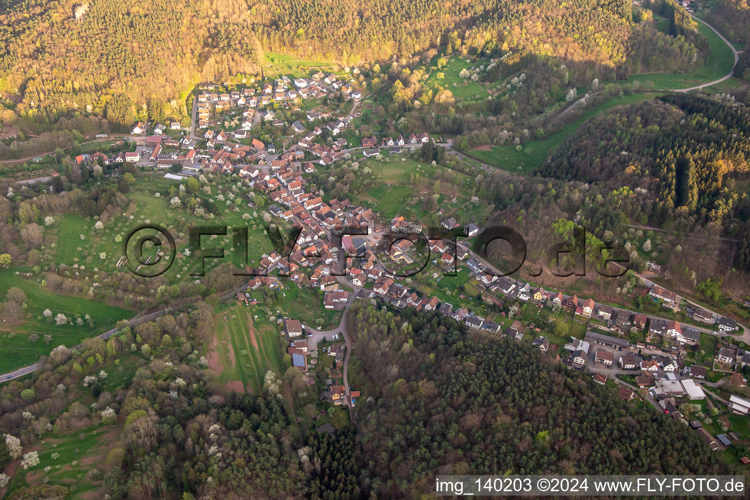 Vue aérienne de Du nord à Schwanheim dans le département Rhénanie-Palatinat, Allemagne