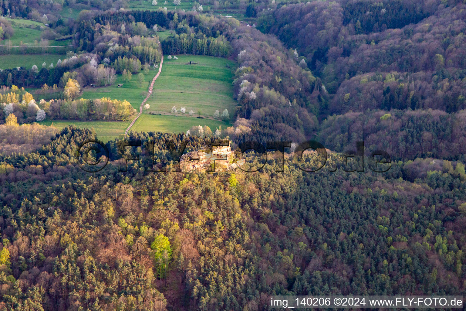 Vue aérienne de Haselstein à Oberschlettenbach dans le département Rhénanie-Palatinat, Allemagne