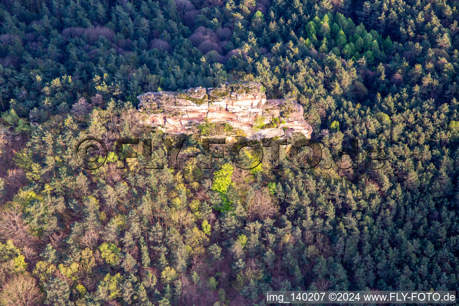 Vue aérienne de Haselstein à Oberschlettenbach dans le département Rhénanie-Palatinat, Allemagne