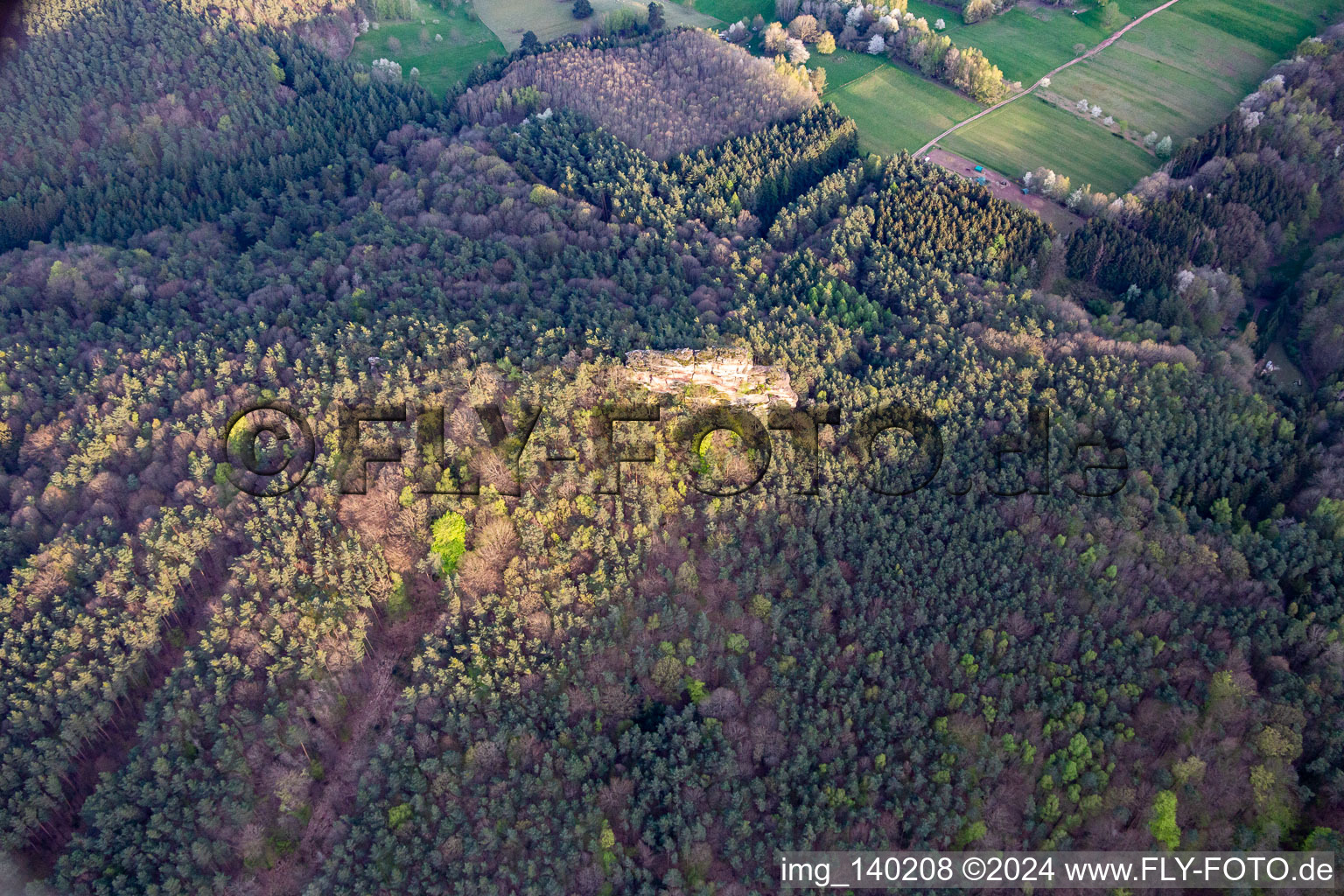 Photographie aérienne de Haselstein à Oberschlettenbach dans le département Rhénanie-Palatinat, Allemagne