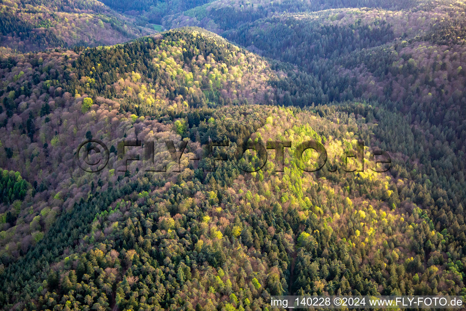 Vue aérienne de Collines de la forêt du Palatinat au printemps à Erlenbach bei Dahn dans le département Rhénanie-Palatinat, Allemagne