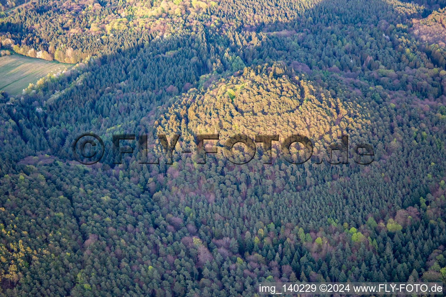 Vue aérienne de Collines de la forêt du Palatinat au printemps à Birkenhördt dans le département Rhénanie-Palatinat, Allemagne