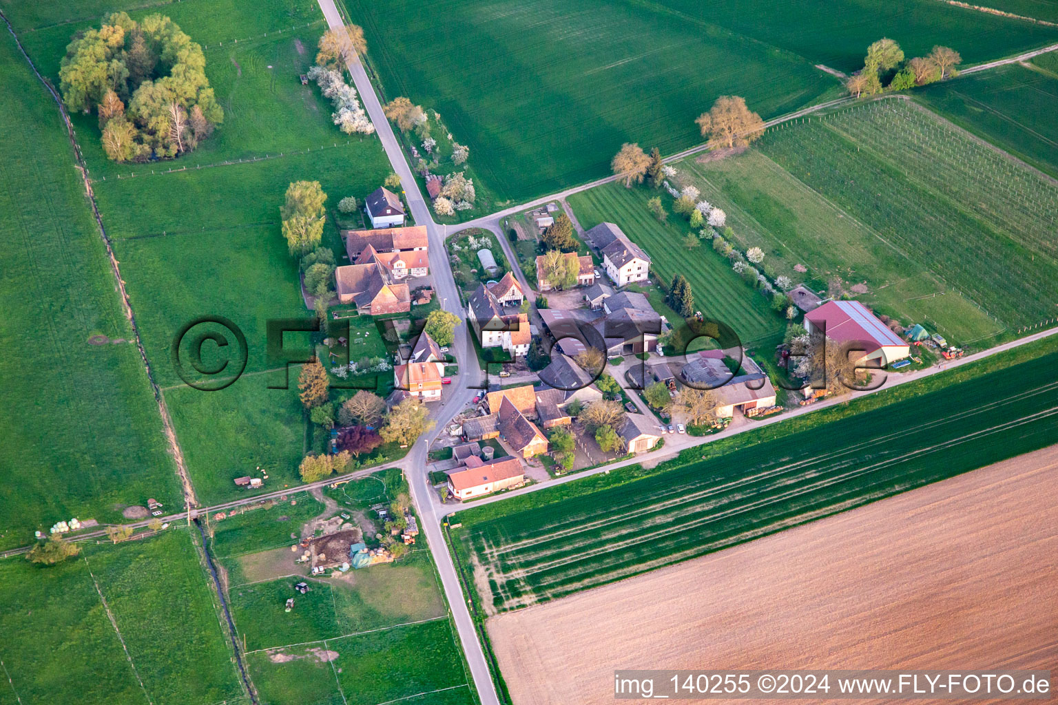 Vue aérienne de Communauté mennonite en Allemagne en Deutschhof à le quartier Deutschhof in Kapellen-Drusweiler dans le département Rhénanie-Palatinat, Allemagne