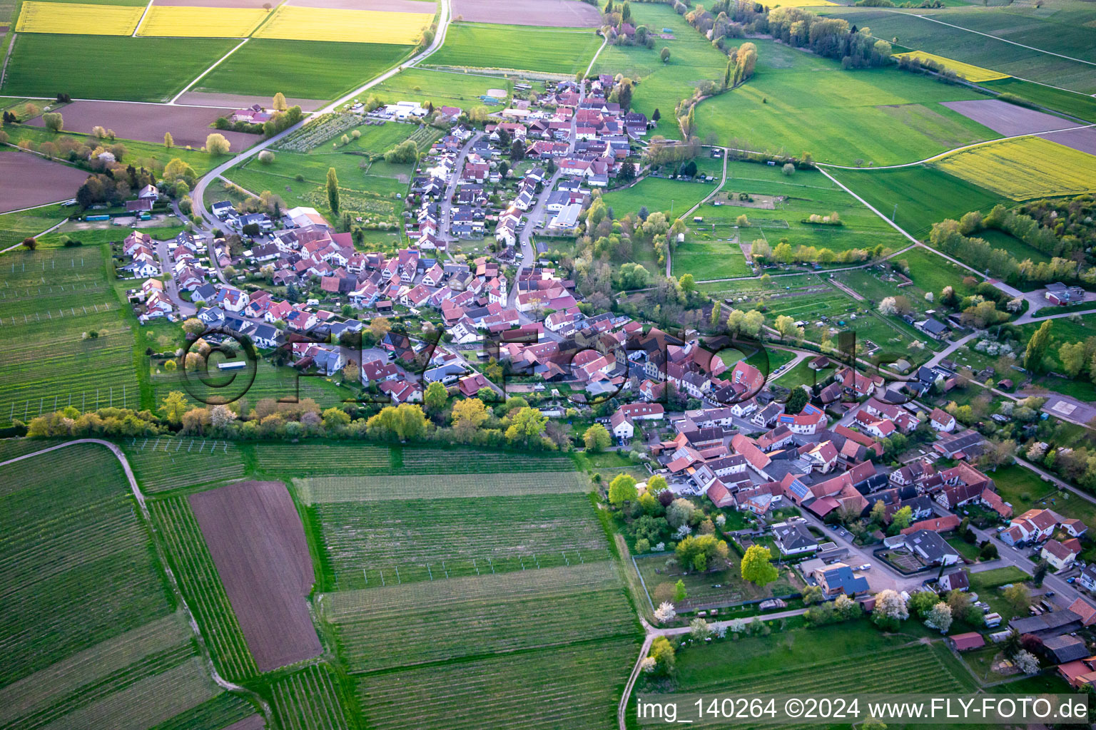 Vue aérienne de De l'est à Oberhausen dans le département Rhénanie-Palatinat, Allemagne