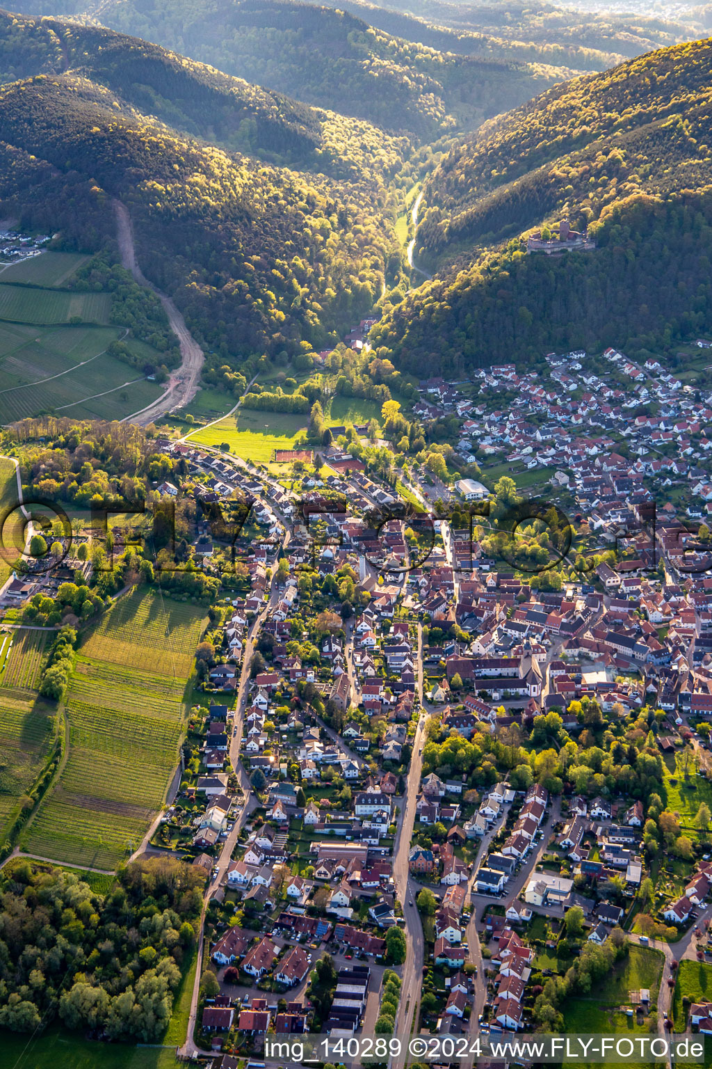 Photographie aérienne de De l'est à Klingenmünster dans le département Rhénanie-Palatinat, Allemagne