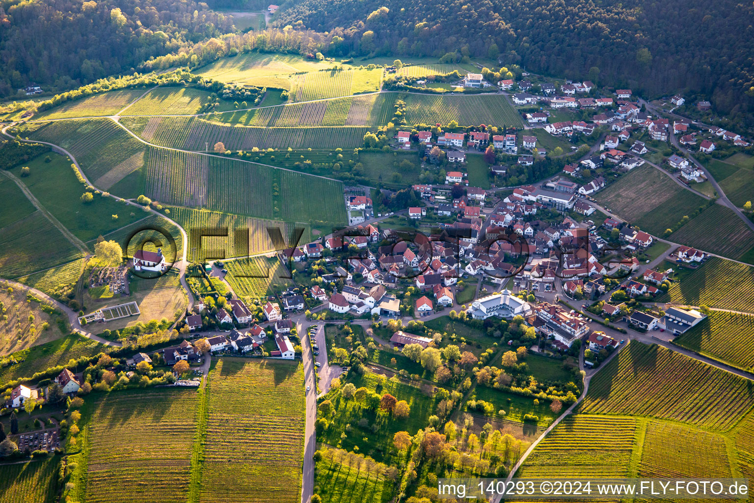 Vue aérienne de Terrasses du Palatinat du Sud à le quartier Gleiszellen in Gleiszellen-Gleishorbach dans le département Rhénanie-Palatinat, Allemagne