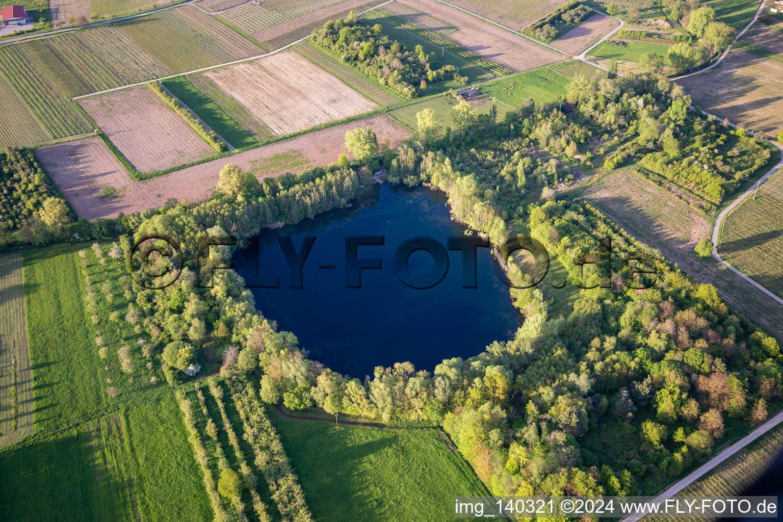 Vue aérienne de Mare biotope, ancienne carrière d'argile à Göcklingen dans le département Rhénanie-Palatinat, Allemagne