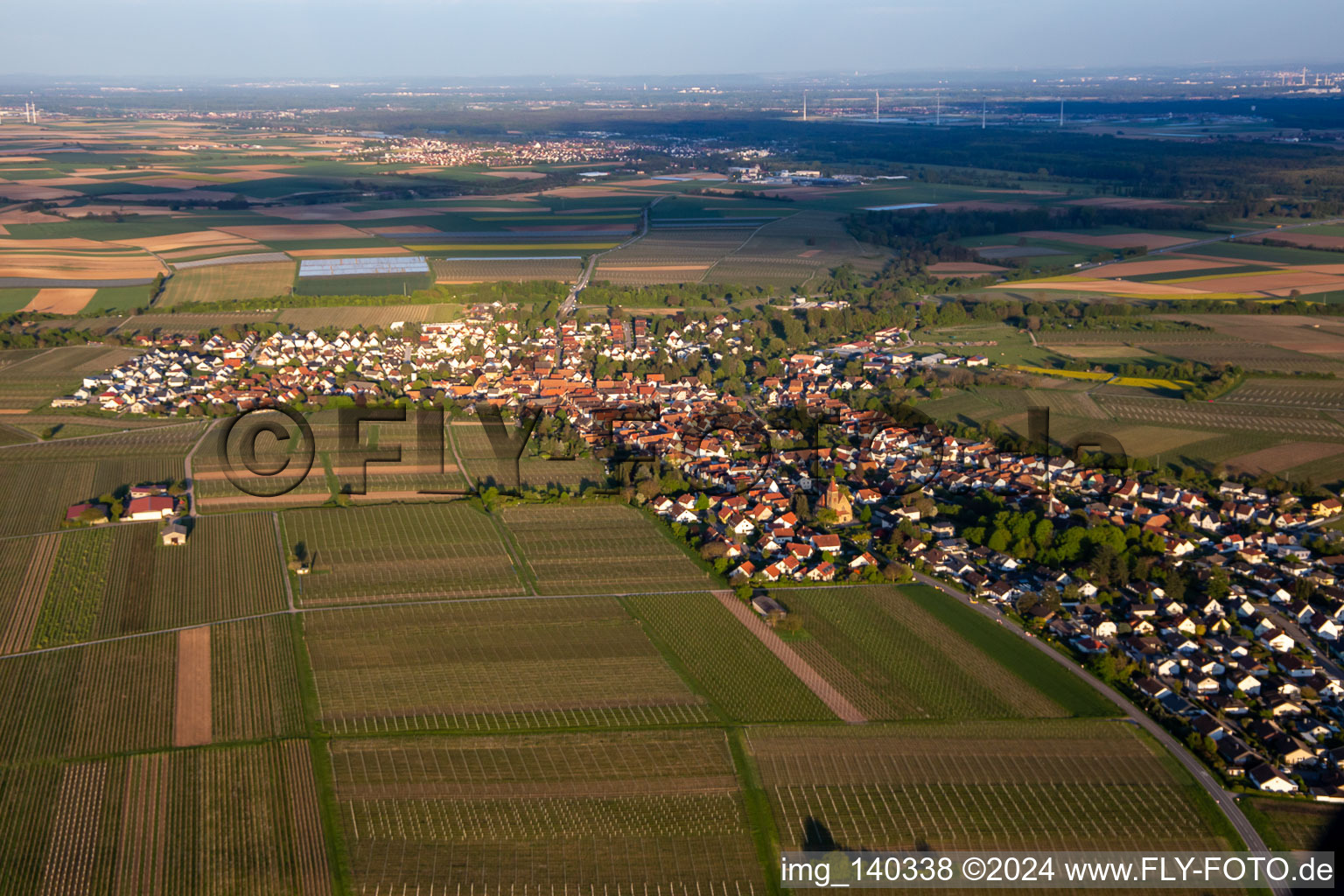 Vue aérienne de Du nord-ouest à Insheim dans le département Rhénanie-Palatinat, Allemagne