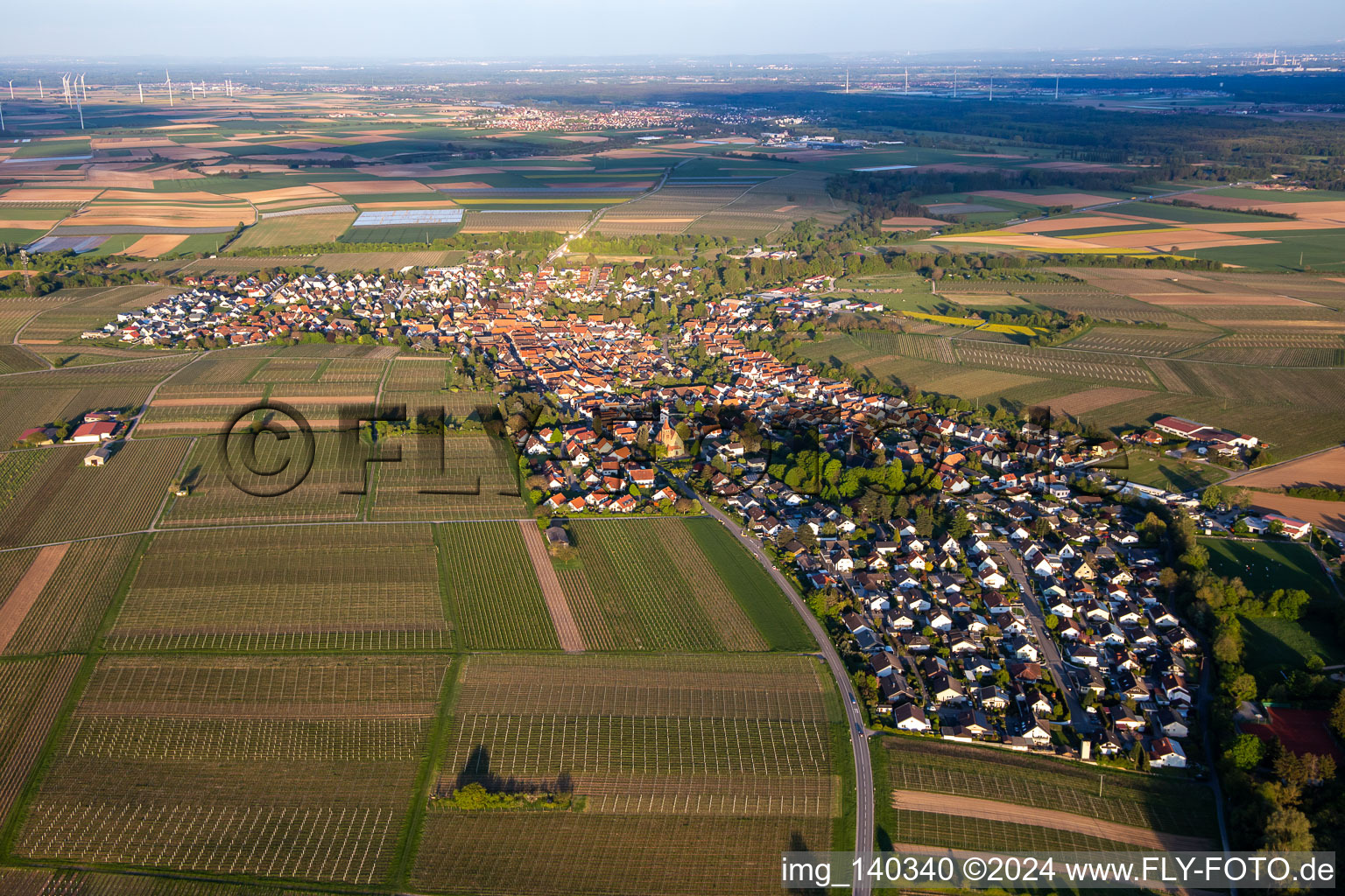 Vue aérienne de Du nord-ouest à Insheim dans le département Rhénanie-Palatinat, Allemagne