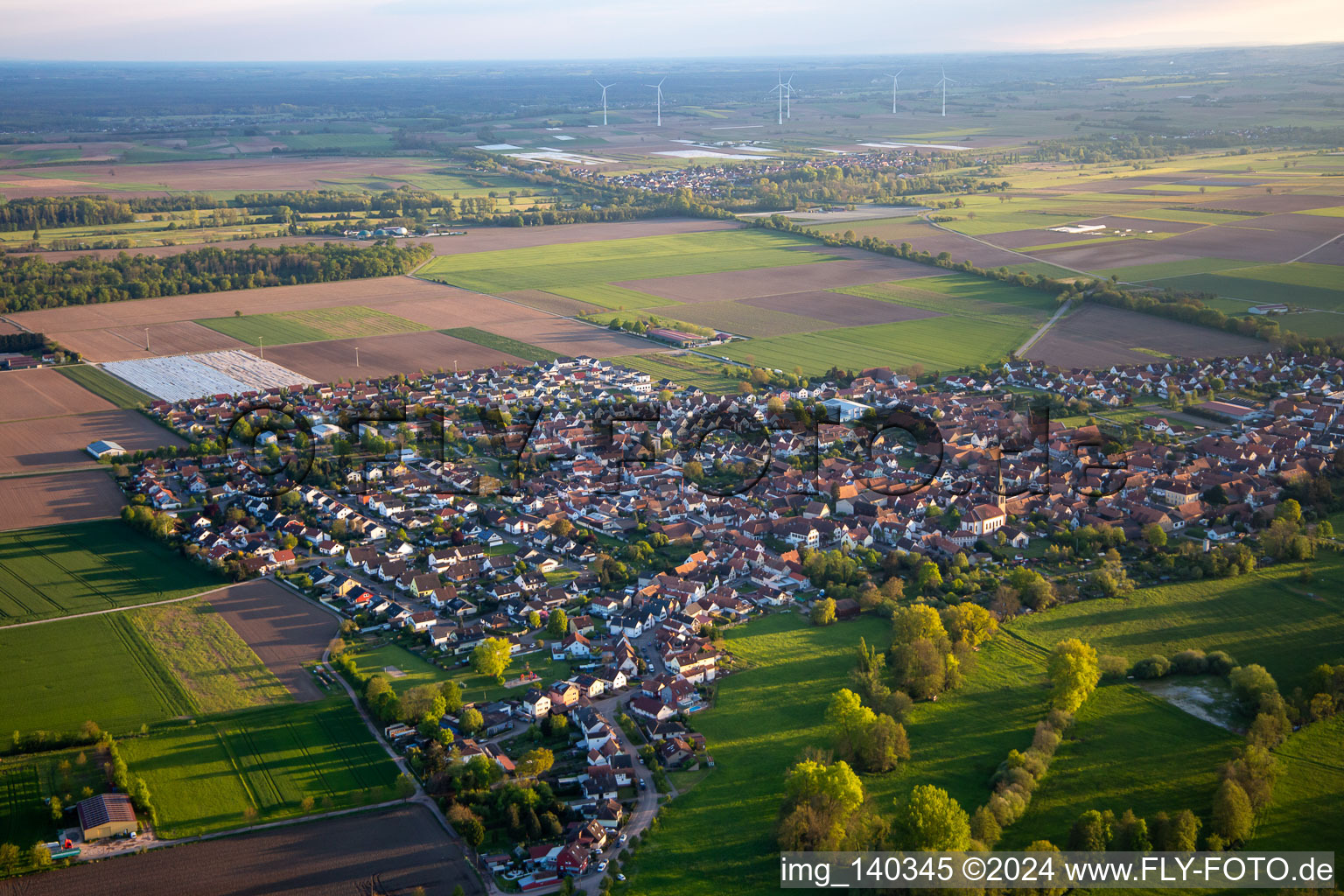 Vue aérienne de Du nord-est à Steinweiler dans le département Rhénanie-Palatinat, Allemagne