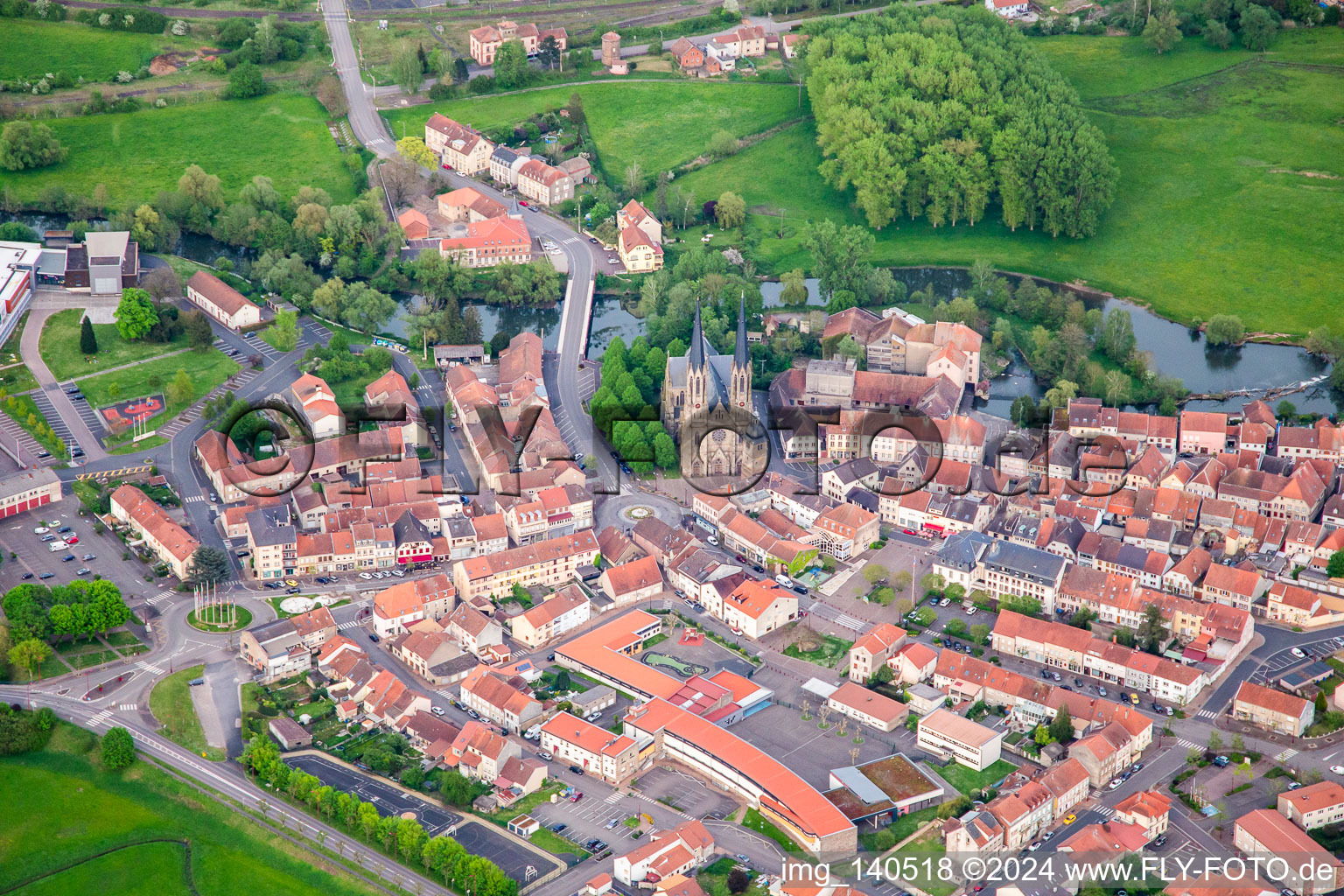 Vue aérienne de Église Saint-Martin (Cathédrale de la Sarre) à Sarralbe dans le département Moselle, France