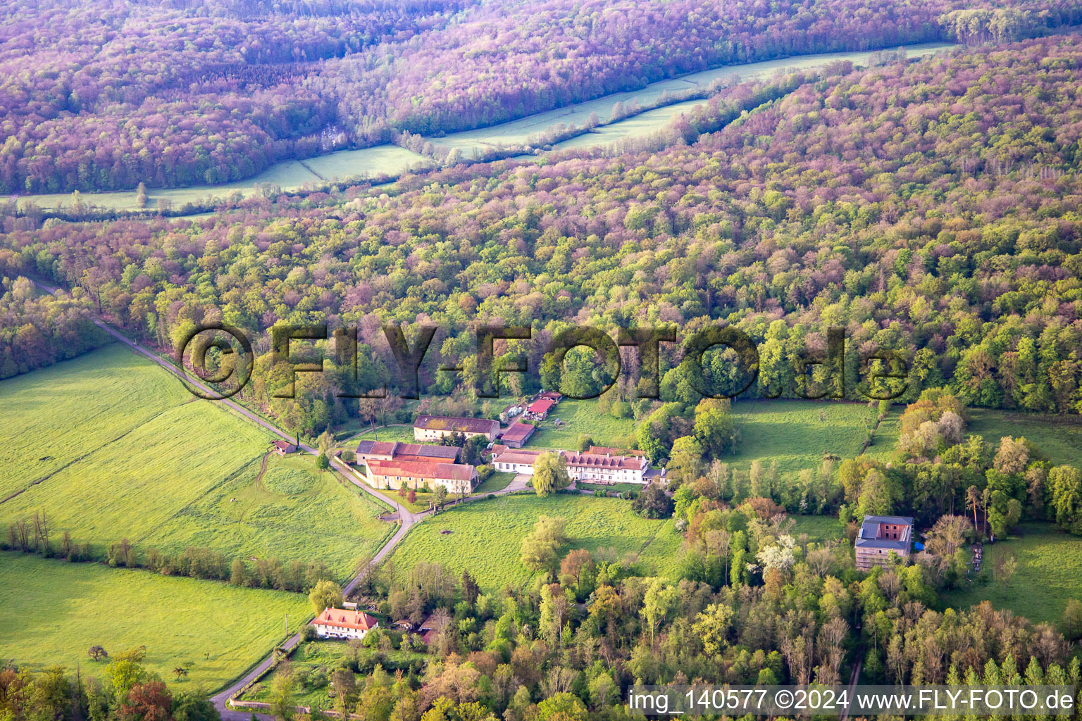 Vue aérienne de Château Bonnefontaine à Altwiller dans le département Bas Rhin, France